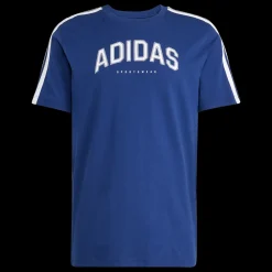 New Adidas C College Tee - Herre T-shirt Blå