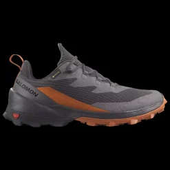 Outlet Salomon Cross Over 2 Gore-Tex - Herre Outdoor Sko Grå