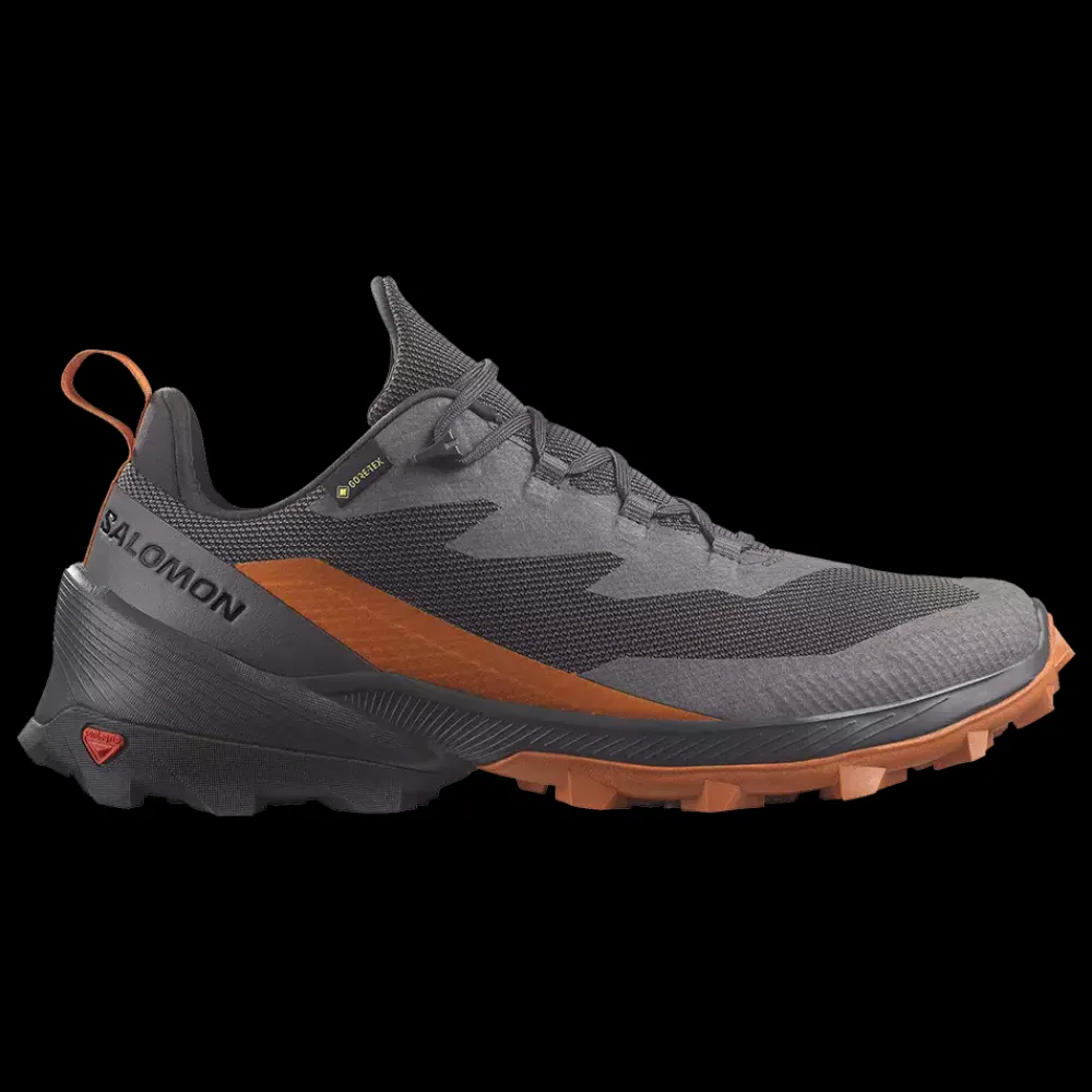 Outlet Salomon Cross Over 2 Gore-Tex - Herre Outdoor Sko Grå