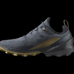 Online Salomon Cross Over 2 GoreTex - Herre Outdoor Sko Blå