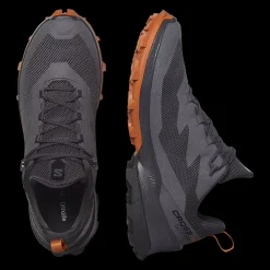 Outlet Salomon Cross Over 2 Gore-Tex - Herre Outdoor Sko Grå