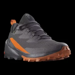 Outlet Salomon Cross Over 2 Gore-Tex - Herre Outdoor Sko Grå