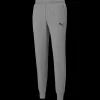 New Puma Ess Logo Tr Sw Pant - Herre Sweatpants Grå