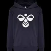 Clearance Hummel Jr Cuatro Hood - Børne Sweatshirt Blå