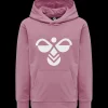Best Hummel Jr Cuatro Hood - Børne Sweatshirt Pink
