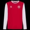 Hot Hummel Jr DBU Fan Block LS Tee - Børne Langærmet T-shirt Rød