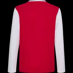 Hot Hummel Jr DBU Fan Block LS Tee - Børne Langærmet T-shirt Rød