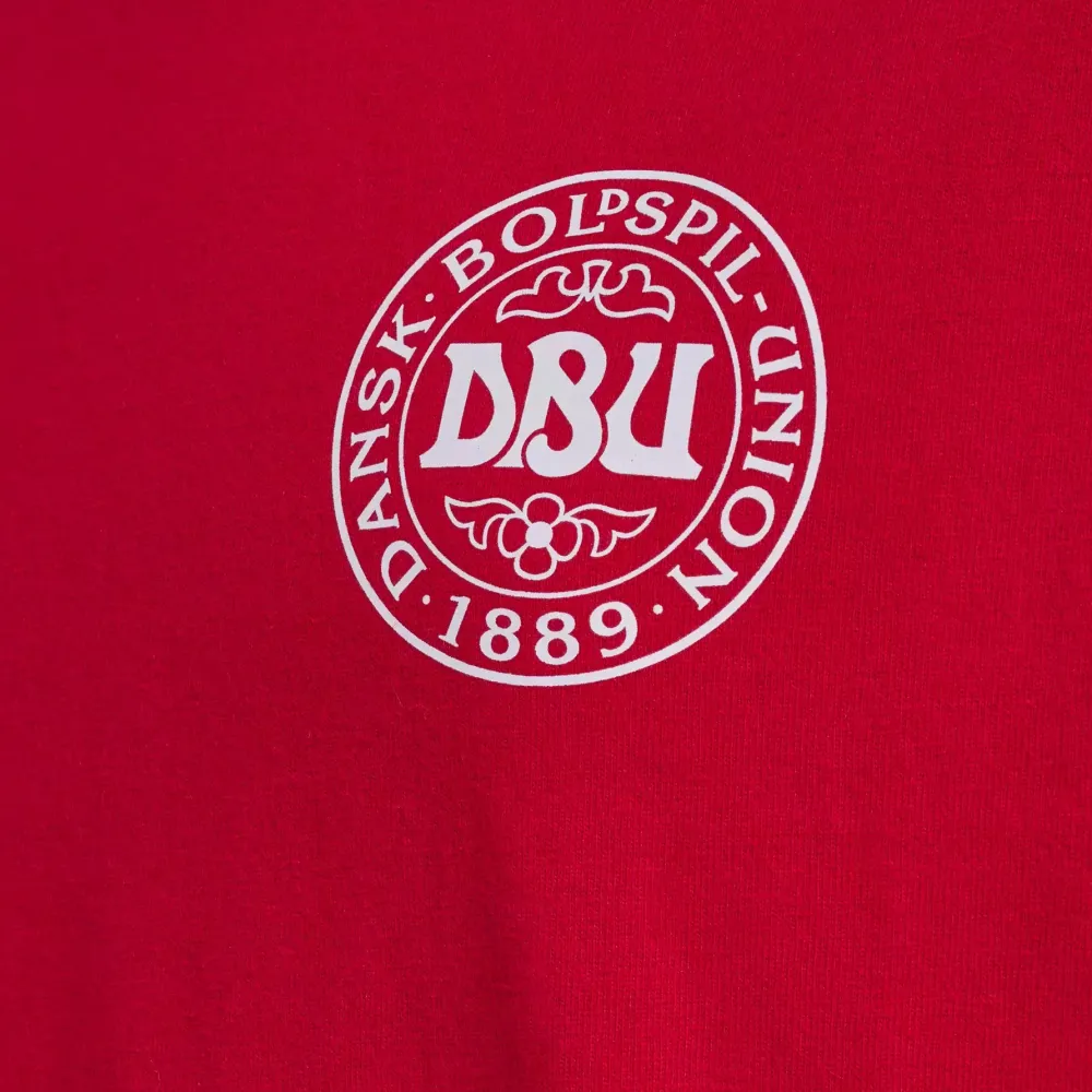 Hot Hummel Jr DBU Fan Block LS Tee - Børne Langærmet T-shirt Rød