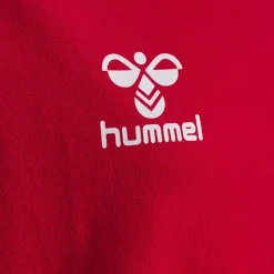 Hot Hummel Jr DBU Fan Block LS Tee - Børne Langærmet T-shirt Rød