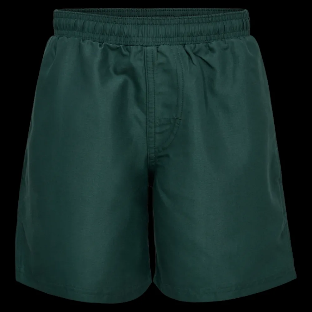 Best Nanok Swim Shorts 25, Sr - Herre Badeshorts Grøn