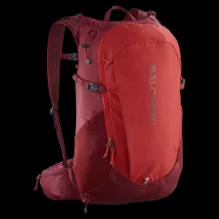 Best Salomon Trailblazer 30L - Rygsæk Multi