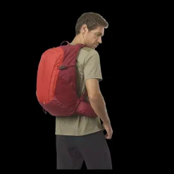 Best Salomon Trailblazer 30L - Rygsæk Multi