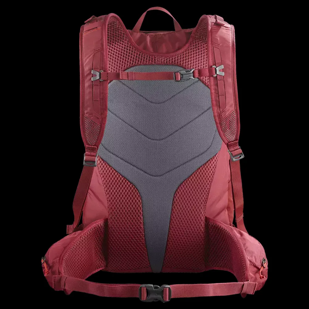 Best Salomon Trailblazer 30L - Rygsæk Multi