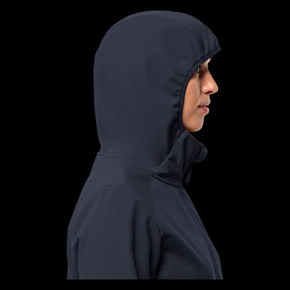 Online Jack Wolfskin W Bornberg Hoody - Dame Fleecetrøje Blå
