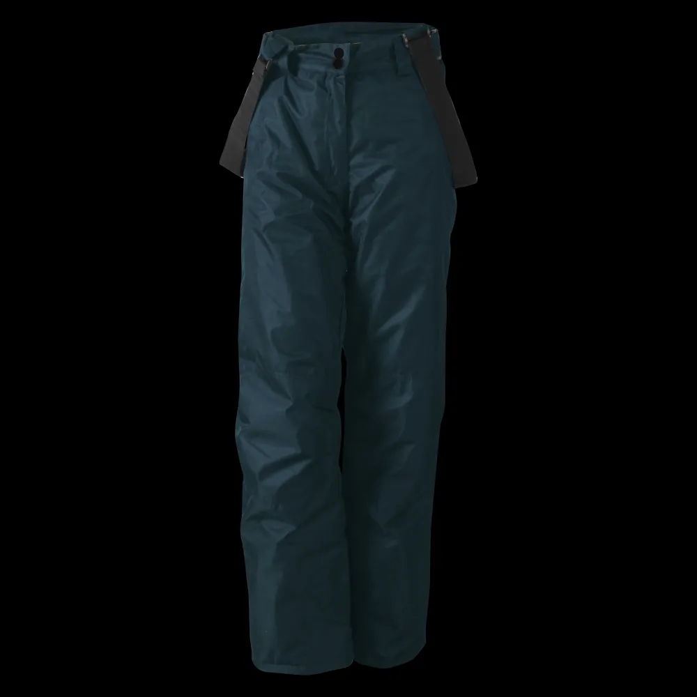 New True North W Ski Pant - Dame Skibukser Grå