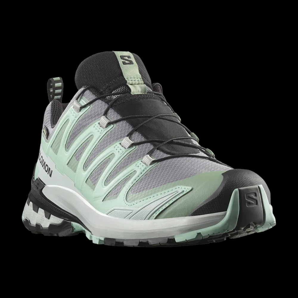 Discount Salomon W XA Pro 3D Gore-Tex Quicklace - Dame Outdoor Sko Grøn